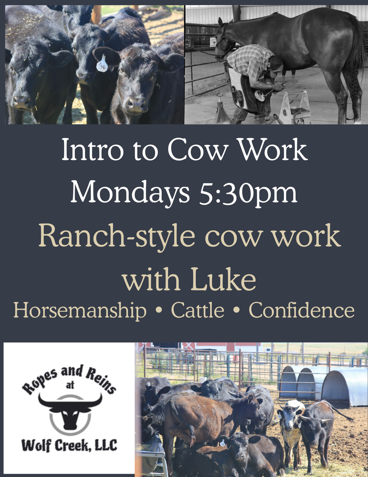 Intro to Cow Work- Package
